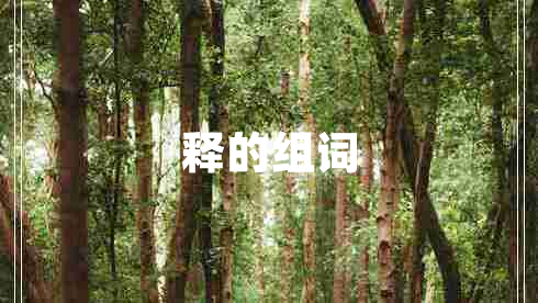 釋的組詞