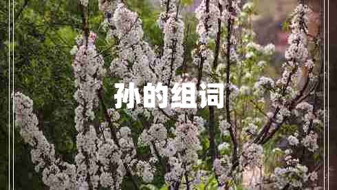 孫的組詞