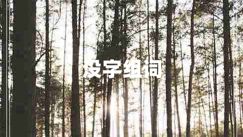 沒字組詞