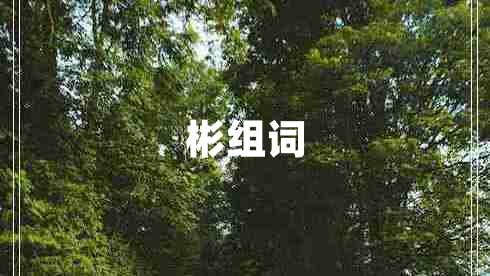 彬組詞