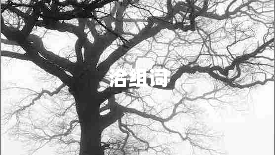 洽組詞