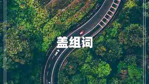蓋組詞