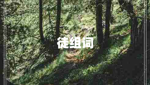 徒組詞