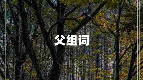 父組詞