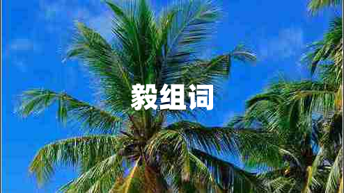 毅組詞
