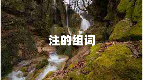 注的組詞