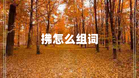 拂怎么組詞