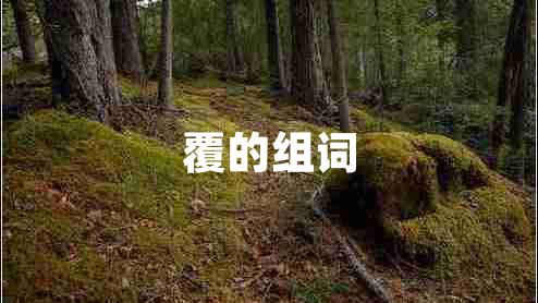 覆的組詞