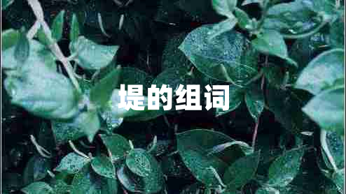 堤的組詞