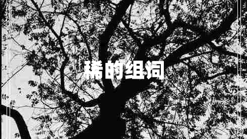 稀的組詞
