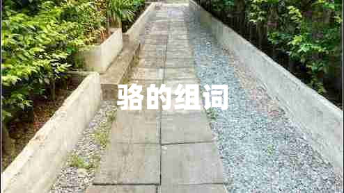 駱的組詞