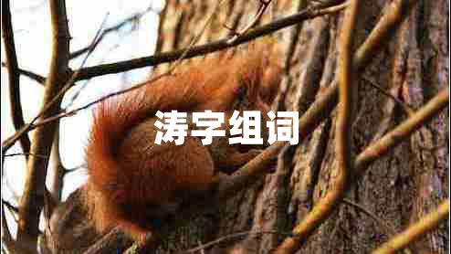 濤字組詞