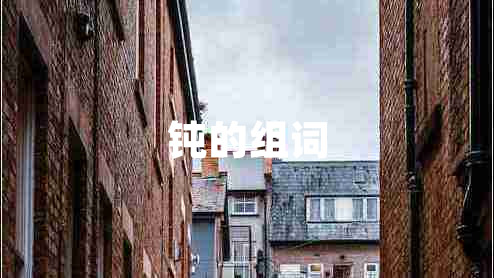 鈍的組詞