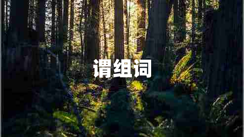 謂組詞