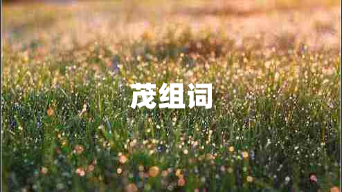 茂組詞