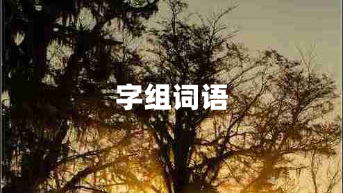 字組詞語(yǔ)
