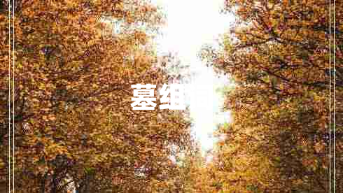 墓組詞