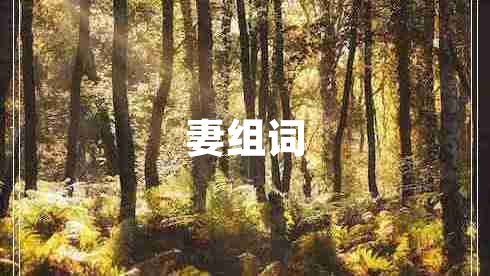 妻組詞