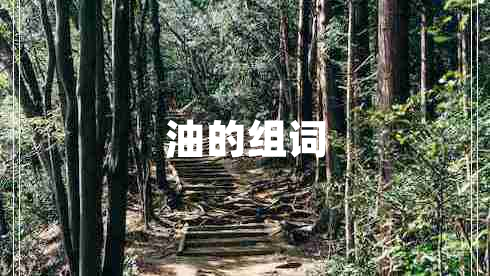 油的組詞