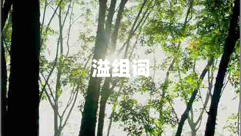 溢組詞
