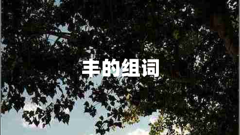 豐的組詞