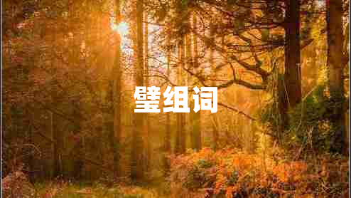 璧組詞