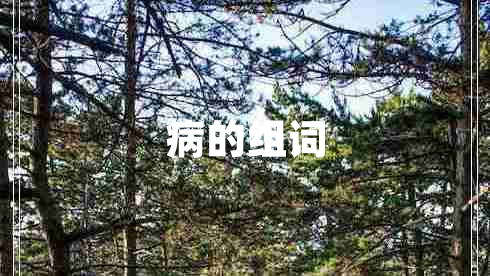 病的組詞