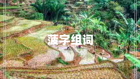 菠字組詞
