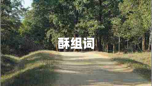 酥組詞