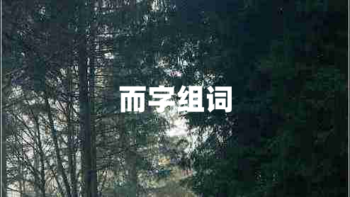 而字組詞