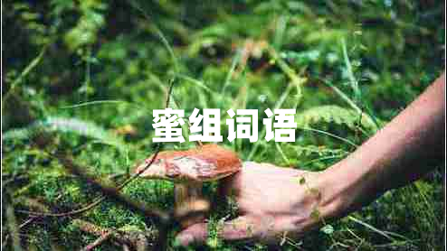 蜜組詞語(yǔ)
