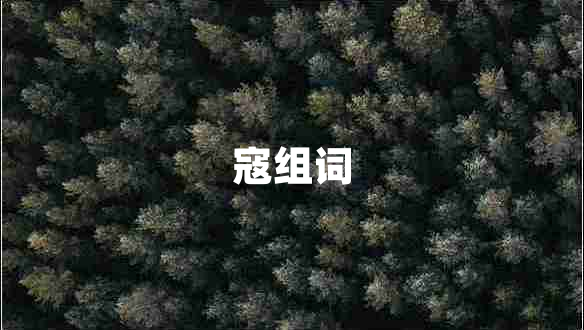寇組詞