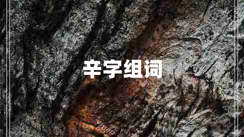 辛字組詞