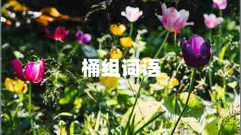 桶組詞語(yǔ)