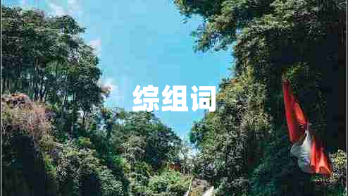 綜組詞