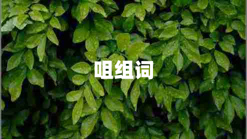 咀組詞