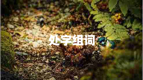 處字組詞