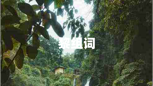 黎組詞