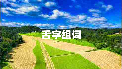 舌字組詞