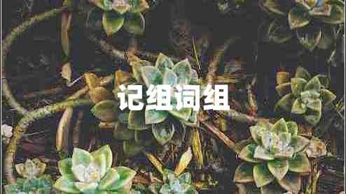 記組詞組