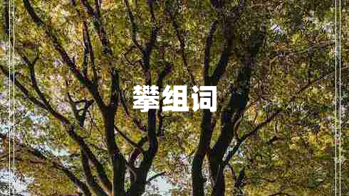 攀組詞