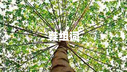 鞋組詞