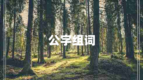 公字組詞