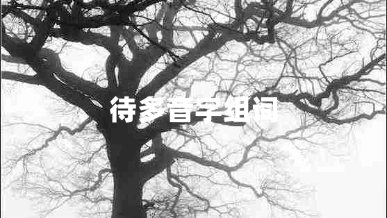 待多音字組詞