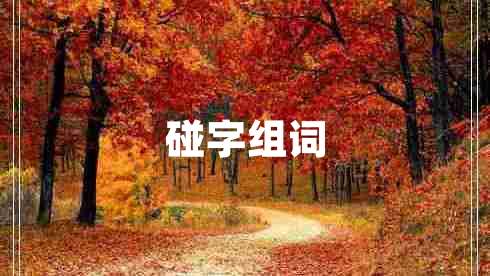 碰字組詞