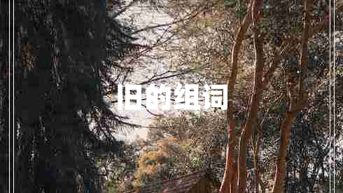 舊的組詞