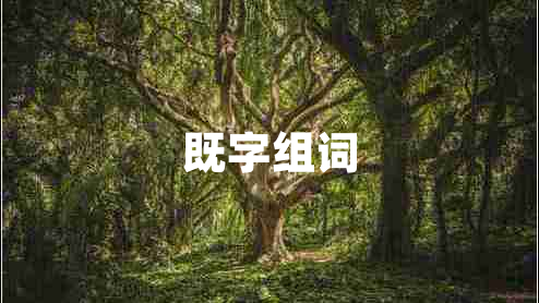 既字組詞
