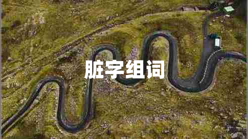 臟字組詞
