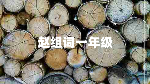 趙組詞一年級