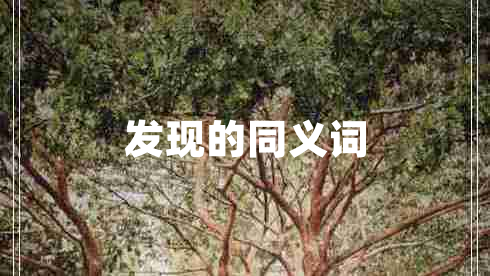 發(fā)現的同義詞
